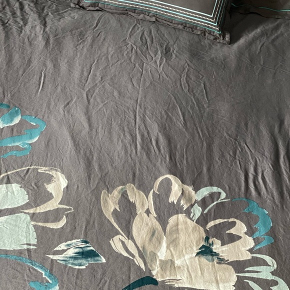 Beautiful soft cotton King duvet cover w/ 2 sham covers, two (2) accent pillows. - Picture 2 of 6